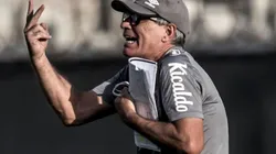 Foto: Ivan Storti/Santos FC