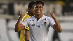 Foto: Ivan Storti/Santos FC