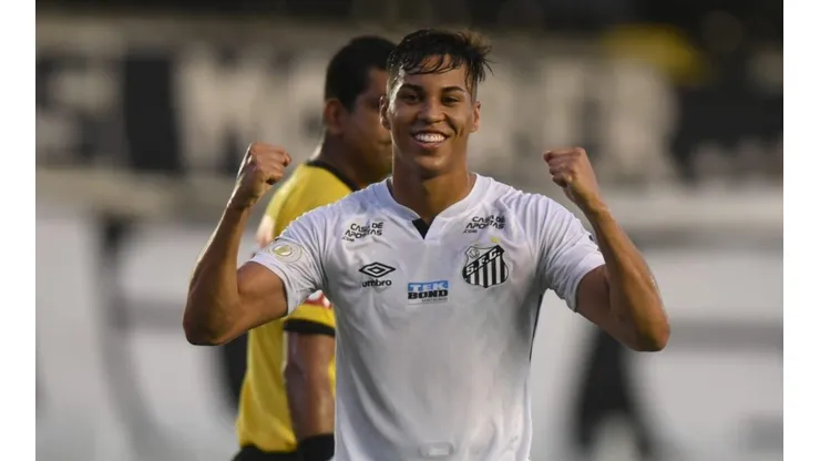 Foto: Ivan Storti/Santos FC