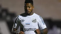 (Foto: Ivan Storti/Flickr do Santos FC/Divulgação)