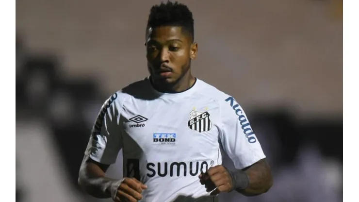 (Foto: Ivan Storti/Flickr do Santos FC/Divulgação)