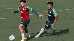 Foto: Flickr Oficial Sociedade Esportiva Palmeiras - autor: César Greco