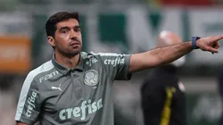 Foto: Cesar Greco/SE Palmeiras