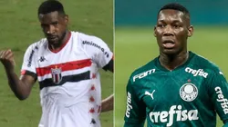 Botafogo-SP e Palmeiras se enfrentam neste domingo (Foto: Agif)