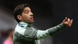 Foto: Flickr Oficial Sociedade Esportiva Palmeiras - autor: César Greco