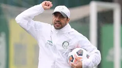 Foto: Flickr Oficial Sociedade Esportiva Palmeiras - autor: Cesar Greco