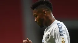 Foto: Ivan Storti/Santos FC