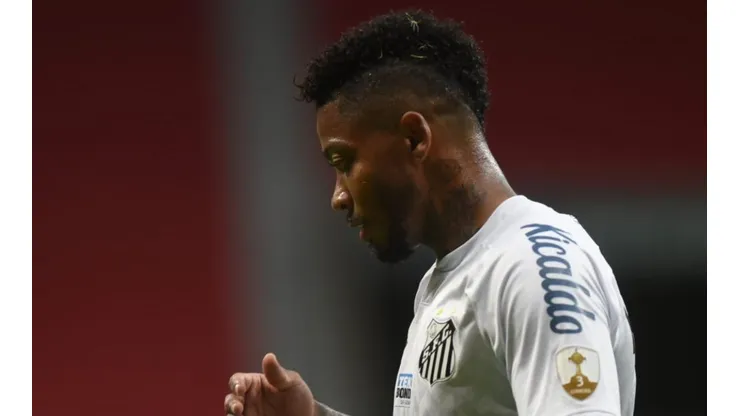 Foto: Ivan Storti/Santos FC