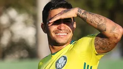 Dudu agitou a torcida do Verdão - Foto: Flickr Oficial do Palmeiras/Divulgação.