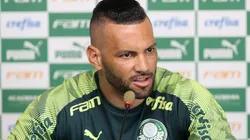 Foto: Flickr Oficial Sociedade Esportiva Palmeiras - autor: Cesar Greco