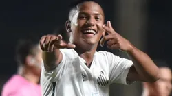 Atacante deve receber oportunidade no estadual - Foto: Ivan Storti/Flickr Oficial do Santos/Divulgação.