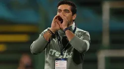 Foto: César Greco/Palmeiras