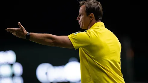 Foto: Flickr Oficial Cruzeiro Esporte Clube - autor: Bruno Haddad