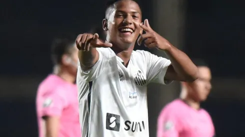 Foto: Ivan Storti/Santos FC