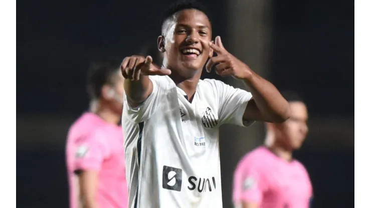 Foto: Ivan Storti/Santos FC