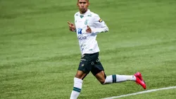 Palmeiras aumentou proposta em busca da contratação de Ademir, do América-MG