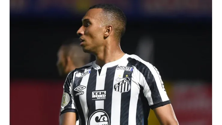Foto: Ivan Storti/Santos FC