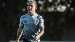 Foto: Ivan Stoti/ Flickr Oficial Santos FC/Divulgação