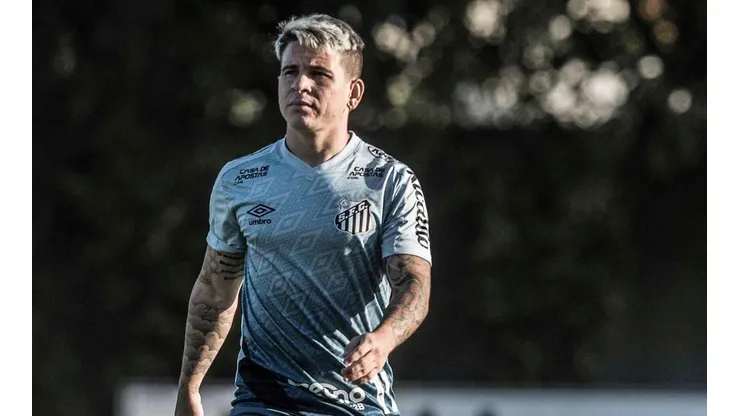 Foto: Ivan Stoti/ Flickr Oficial Santos FC/Divulgação