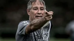 Holan quer reforços no Peixe - Foto: Ivan Storti/Flickr Oficial do Santos/Divulgação.