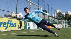 Palmeiras está prestes a renovar contrato do goleiro Vinicius Silvestre