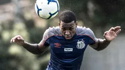 Foto: Ivan Storti/Santos FC