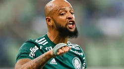 Felipe Melo pretende ficar no Palmeiras nesta temporada