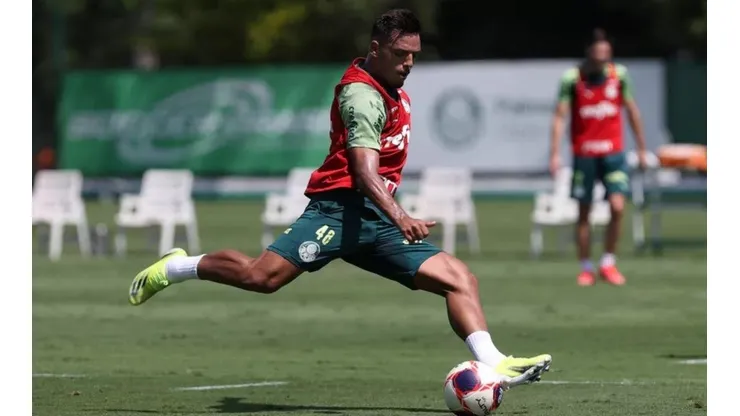 Palmeiras realiza primeiro treino sob comando de Vitor Castanheira