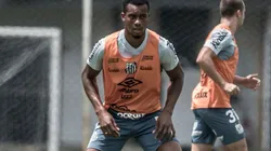 Foto: Flickr Oficial Santos Futebol Clube - autor: Ivan Storti