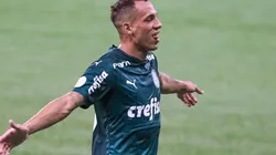 Atacante vem fazendo valer a aposta do Verdão - Foto: Marcello Zambrana/AGIF.