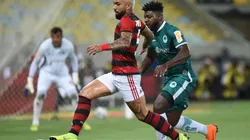 Boavista x Flamengo se enfrentam pelo Campeonato Carioca - (Getty Images)