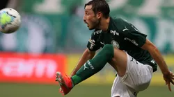 Foto: Flickr Oficial Sociedade Esportiva Palmeiras - autor: Fabio Menotti