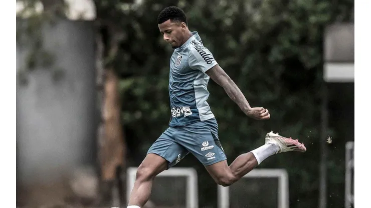 Foto: Ivan Storti/Santos FC