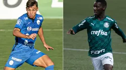 São Bento x Palmeiras: Data, hora e canal para ver AO VIVO o retorno do Paulistão