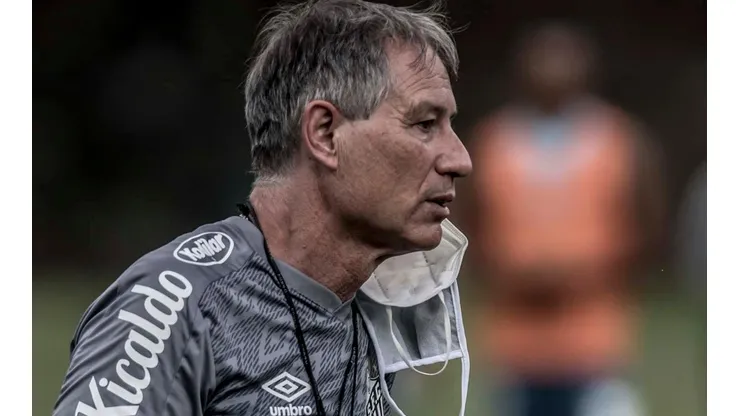 (Foto: Ivan Storti/Flickr do Santos FC/Divulgação)