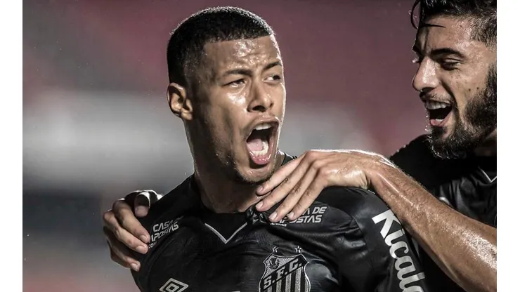 Foto: Ivan Storti/Santos FC