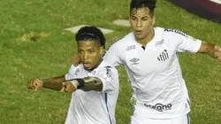 Foto: Ivan Storti/Flickr do Santos FC/Divulgação