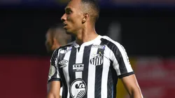 Foto: Ivan Storti/Santos FC