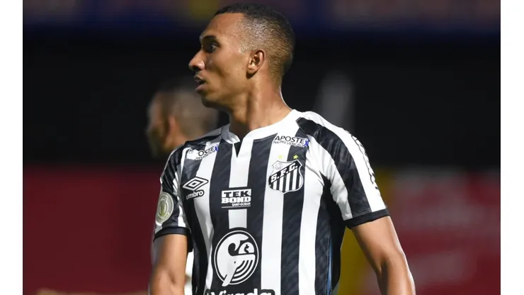 Foto: Ivan Storti/Santos FC