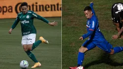 Palmeiras x São Caetano. (Foto: AGIF)