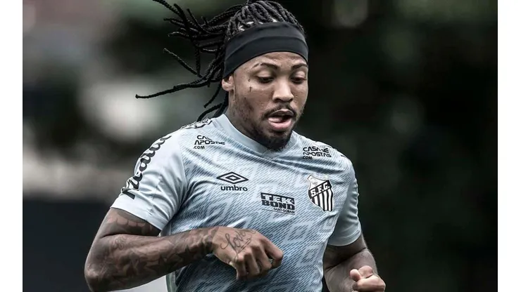 Foto: Ivan Storti/Flickr do Santos FC