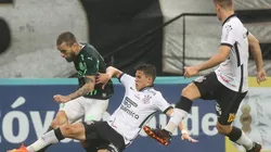 Foto: Cesar Greco/Ag. Palmeiras