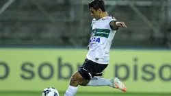 Foto: Getty Images - Curitiba, Brasil. (Photo by Heuler Andrey)