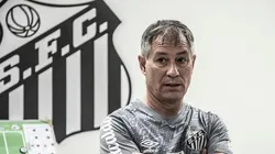 Foto: Ivan Storti/Flickr Oficial Santos FC/Divulgação