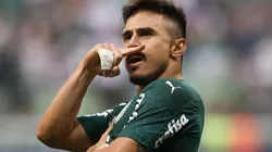 Foto: Divulgação Sociedade Esportiva Palmeiras - autor: César Greco