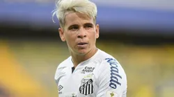 Foto: Ivan Storti/Flickr do Santos FC/Divulgação