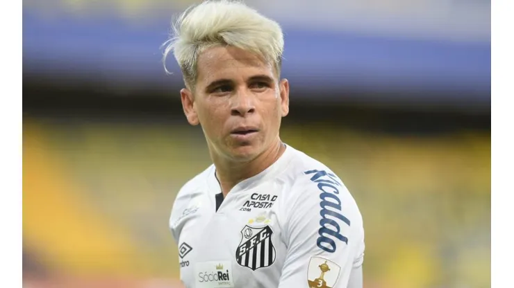 Foto: Ivan Storti/Flickr do Santos FC/Divulgação