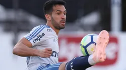 Foto: Flickr do Palmeiras