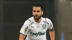 (Foto: Cesar Greco/Flickr Oficial Palmeiras/Divulgação)