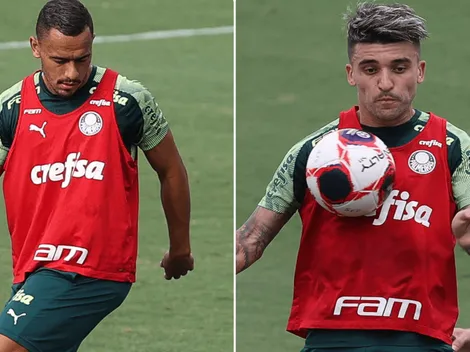 Papagaio e Victor Luis recebem "chance de ouro" no Palmeiras